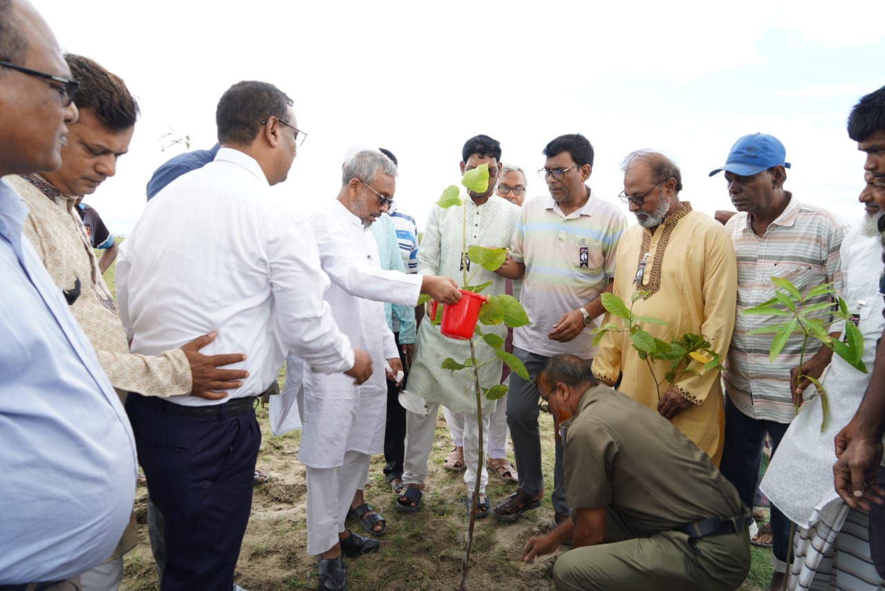 পবার চরে বৃক্ষরোপণ অভিযানের উদ্বোধন করলেন এমপি আসাদ
