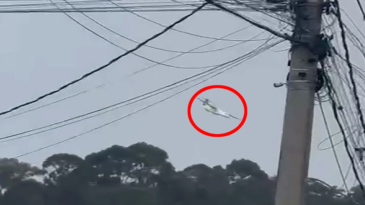 ব্রাজিলে বিমান বিধ্বস্ত, সব আরোহী নিহত