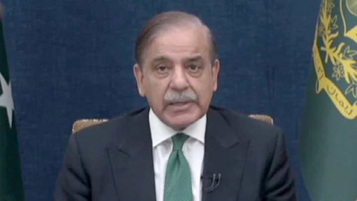 পাকিস্তানবিরোধী আন্দোলন করার সাজা পেয়েছেন শেখ মুজিব: শাহবাজ শরিফ