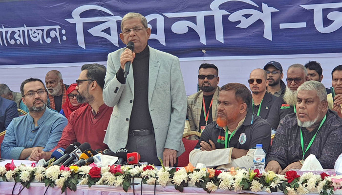 ১৫ বছরে দেশের সব প্রতিষ্ঠান ধ্বংস করেছে আওয়ামী লীগ: ফখরুল