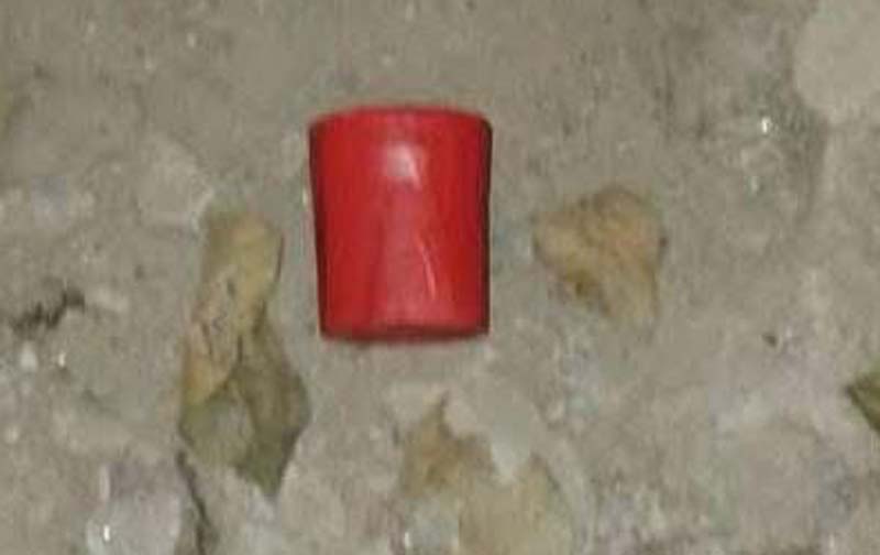 বাঘায় বিএনপি নেতার বাড়িতে ককটেল বিস্ফোরণ