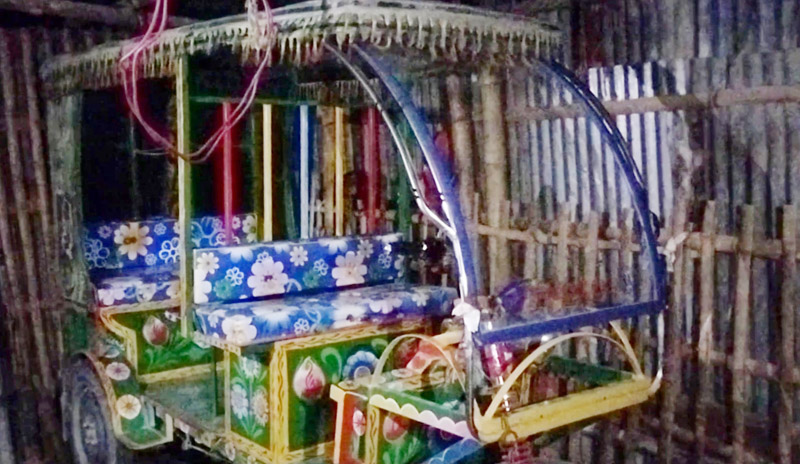 অটোরিকশা চার্জ দিতে গিয়ে বিদ্যুৎস্পর্শে প্রাণ গেল নারীসহ ২ জনের