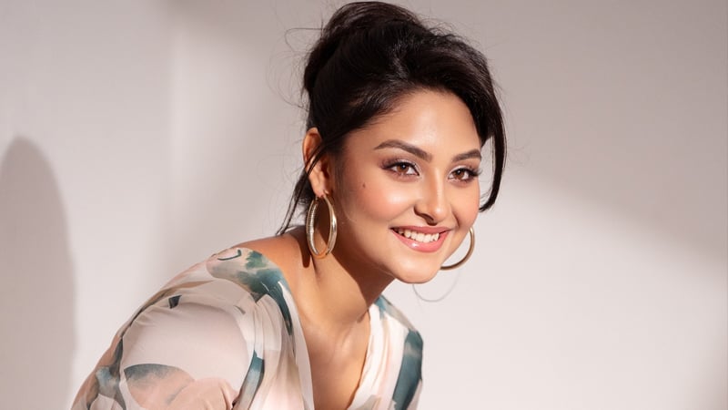 চেনা জীবনের গল্পে নিহার ‘সহযাত্রী’