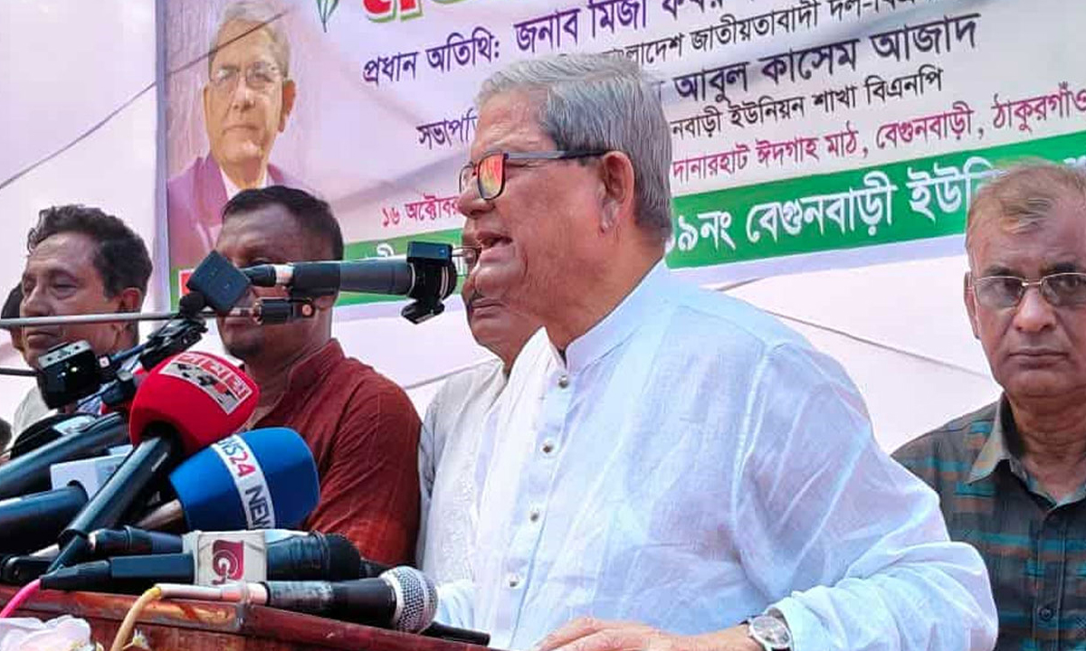 অন্তর্বর্তীকালীন সরকার দুর্বল, পেছনে কেউ নেই: মির্জা ফখরুল