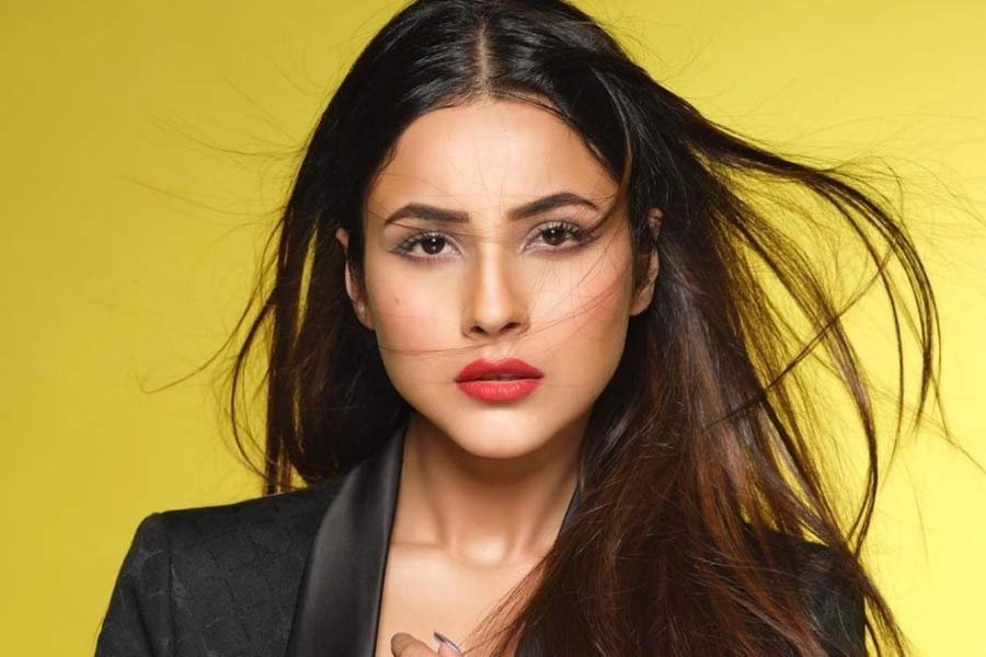 সংগ্রাম থেকে সাফল্যের শিখরে শেহনাজ গিল