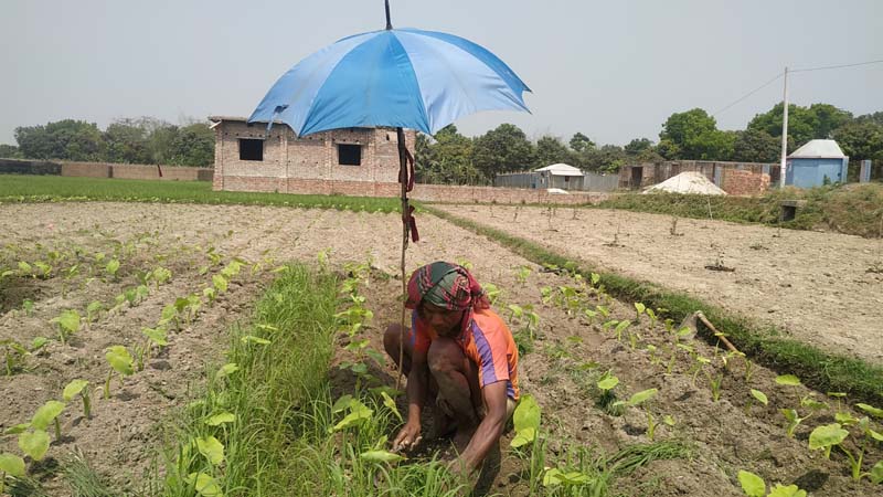মৌসুমের সর্বোচ্চ তাপমাত্রা ৪০ ডিগ্রি সেলসিয়াসে পুড়ছে রাজশাহী