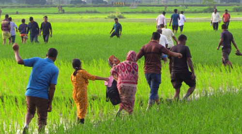 গুজব ছড়িয়ে সীমান্তে হাজারও মানুষকে জড়ো