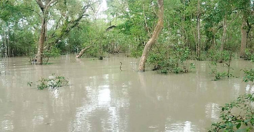 জলোচ্ছ্বাসে প্লাবিত সুন্দরবন, বিপৎসীমার ওপরে নদীর পানি