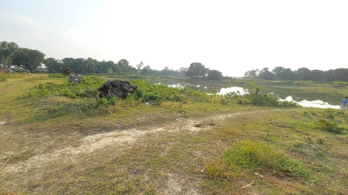 আ.লীগ নেতার নির্দেশে জমি ও পুকুর দখল, প্রতিবাদ করায় হামলা-মামলা