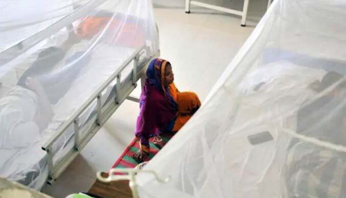ডেঙ্গুতে এ বছরের সর্বোচ্চ মৃত্যু