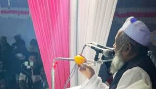 এক কমলা দুই লাখে বিক্রি!