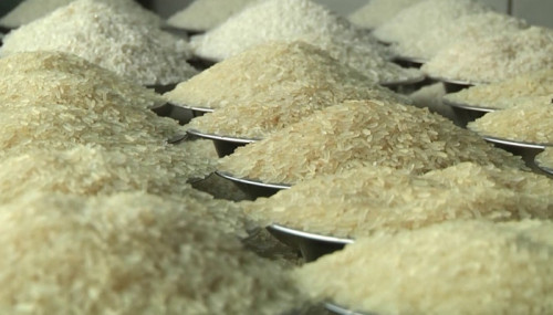 রাজশাহীতে উর্ধমূখি চালের দাম