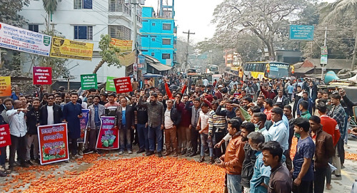 নাটোরে মহাসড়কে টমেটো ফেলে কৃষকদের বিক্ষোভ