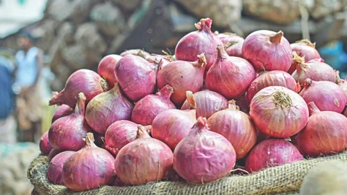 ৫ মাস পর পেঁয়াজ রপ্তানির শুল্ক তুলল ভারত
