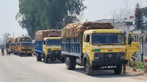 নেপালে ২৫২ টন আলু রপ্তানি করল সরকার