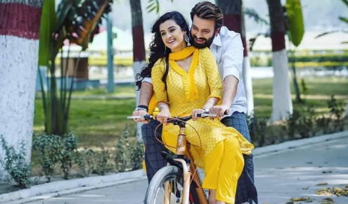 প্রেক্ষাগৃহ থেকে নামিয়ে দেওয়া হল শাকিবের সিনেমা