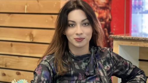 বিশেষ ক্ষমতা আইনে মেঘনা আলমকে আটকাদেশের বৈধতা চ্যালেঞ্জ