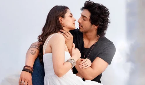 সাইয়ারা: ১৭ দিনে আয় ৬৩৫ কোটি টাকা