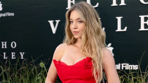 বলিউডের ছবিতে সিডনি সুইনিকে প্রস্তাব