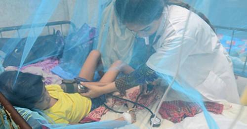 ডেঙ্গুতে আরো ৫ জনের মৃত্যু, হাসপাতালে ভর্তি ১১৬২