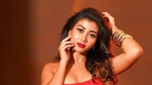 আবারও বলিউডে প্রান্তিকা