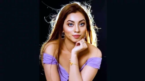 মির্জা আব্বাস-পাটওয়ারীকে মেঘনা আলমের বার্তা