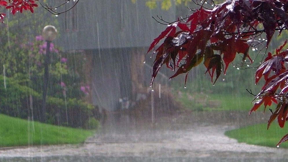 টানা ৯ দিন বৃষ্টির আভাস
