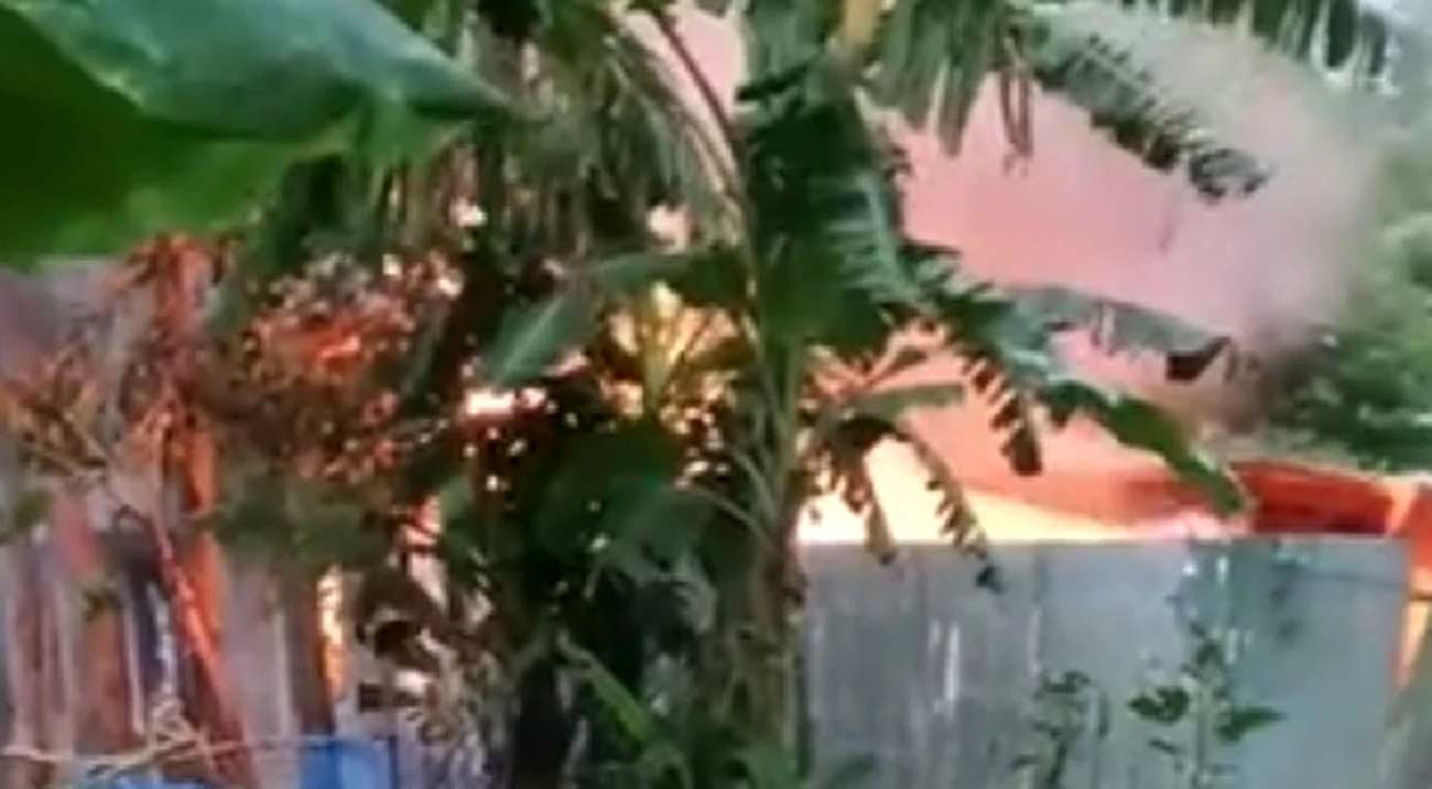 পাবনায় স্কুলছাত্রী হত্যা: আসামির বাড়িতে আগুন, দগ্ধ ৩ জনের মৃত্যু