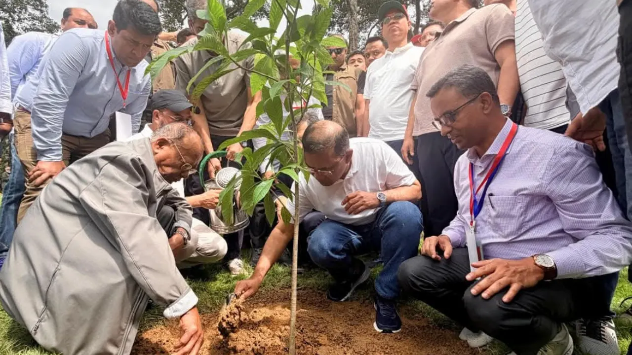 দেশব্যাপী ২৫ কোটি বৃক্ষরোপণ কর্মসূচি উদ্বোধন করলেন প্রধানমন্ত্রী