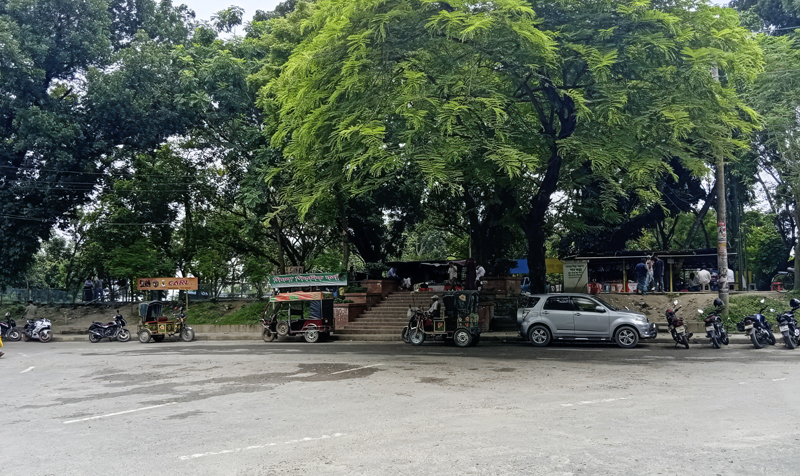 জীববৈচিত্র্য সংরক্ষণ এলাকা ঘোষিত শিমলা পার্ক