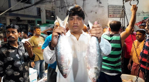 দীর্ঘ প্রতীক্ষার অবসান, বাংলাদেশের ইলিশ মিলছে কলকাতার বাজারে