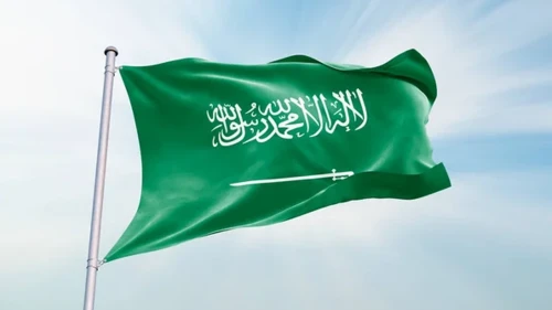 ইসরায়েলের গাজা দখলের পরিকল্পনা নিয়ে মুখ খুলল সৌদি আরব