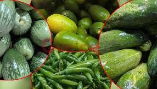 দেড়শ টাকা ছুঁয়েছে শসা, বেগুন