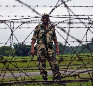 বাংলাদেশ সীমান্তে বিষধর সাপ ও কুমির মোতায়েনের পরিকল্পনা ভারতের