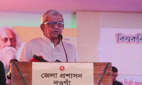 আমরা চাই না আর দেশে কোনো গোলযোগ হোক : মির্জা ফখরুল