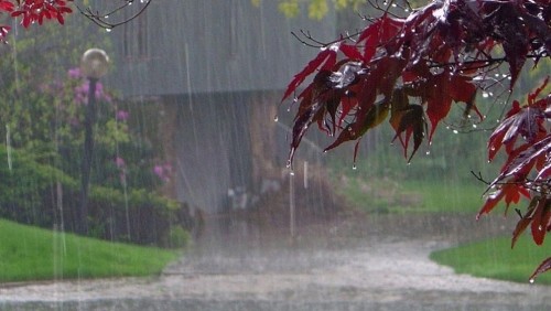 টানা ৯ দিন বৃষ্টির আভাস