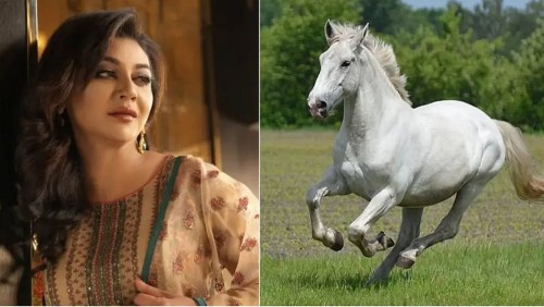 ঘোড়ার মাংস নিয়ে হাইকোর্টে জয়া আহসানের রিট