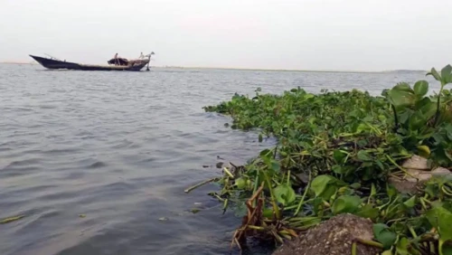 রাজশাহীতে বাড়ছে পদ্মার পানি