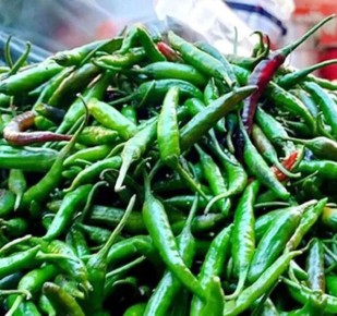 কাঁচামরিচের কেজি ৩০০ ছাড়াল