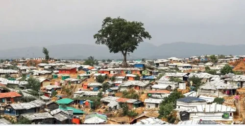 রোহিঙ্গা ক্যাম্পে আরসা কমান্ডারকে গুলি করে হত্যা