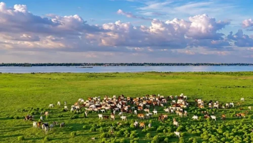 পদ্মার বুকে একখন্ড ‘মিনি সুইজারল্যান্ড’