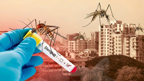 অক্টোবরেও ডেঙ্গুর সংক্রমণ বাড়ার ঝুঁকি