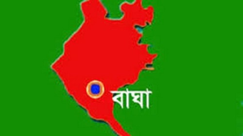 বাঘায় স্ত্রীকে কুপিয়ে হত্যার অভিযোগ, স্বামী পলাতক