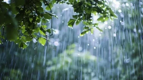 মৌসুমি বায়ুর বিদায়বেলায়ও বৃষ্টির আভাস